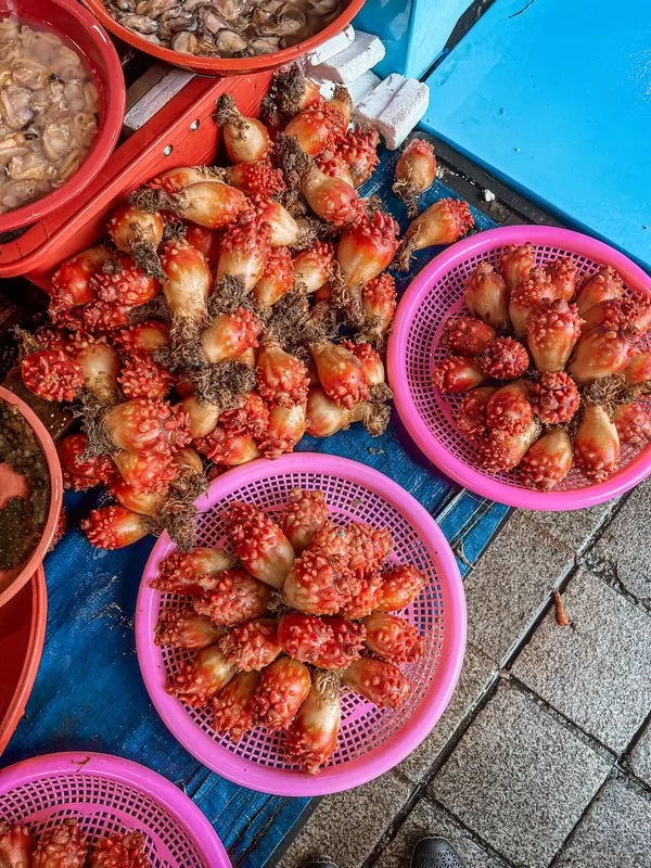 Jagalchi Fish Market (부산자갈치시장), Busan, Korea