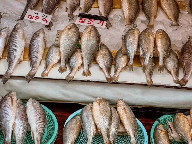 Jagalchi Fish Market (부산자갈치시장), Busan, Korea