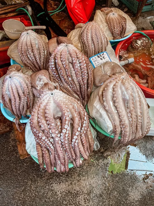 Jagalchi Fish Market (부산자갈치시장), Busan, Korea