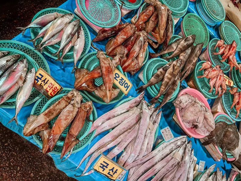 Jagalchi Fish Market (부산자갈치시장), Busan, Korea