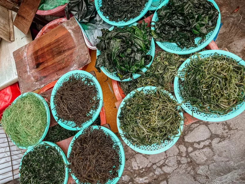 Jagalchi Fish Market (부산자갈치시장), Busan, Korea
