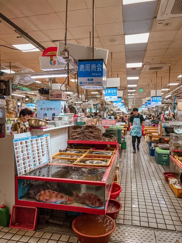 Jagalchi Fish Market (부산자갈치시장), Busan, Korea