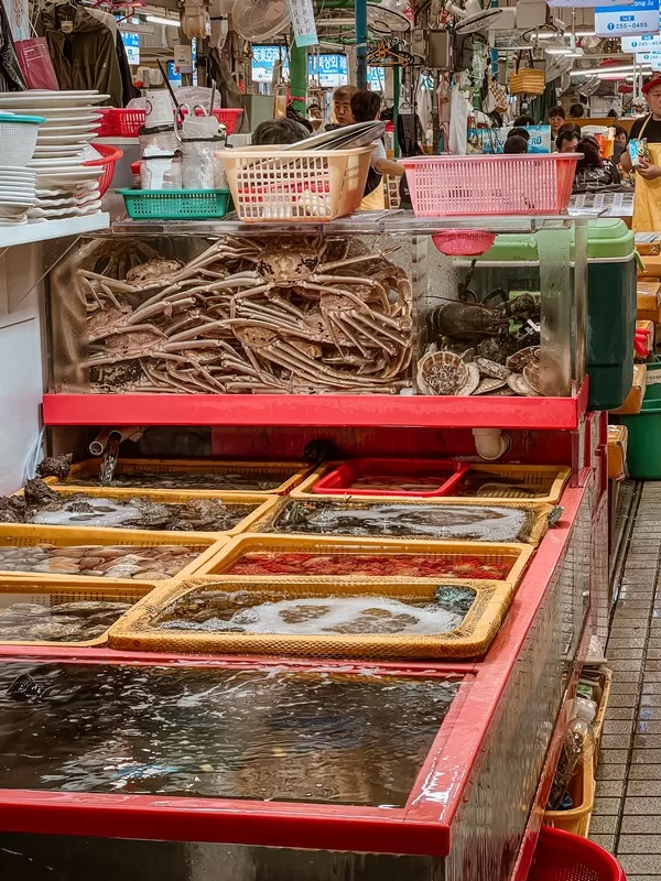 Jagalchi Fish Market (부산자갈치시장), Busan, Korea