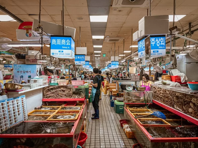 Jagalchi Fish Market (부산자갈치시장), Busan, Korea