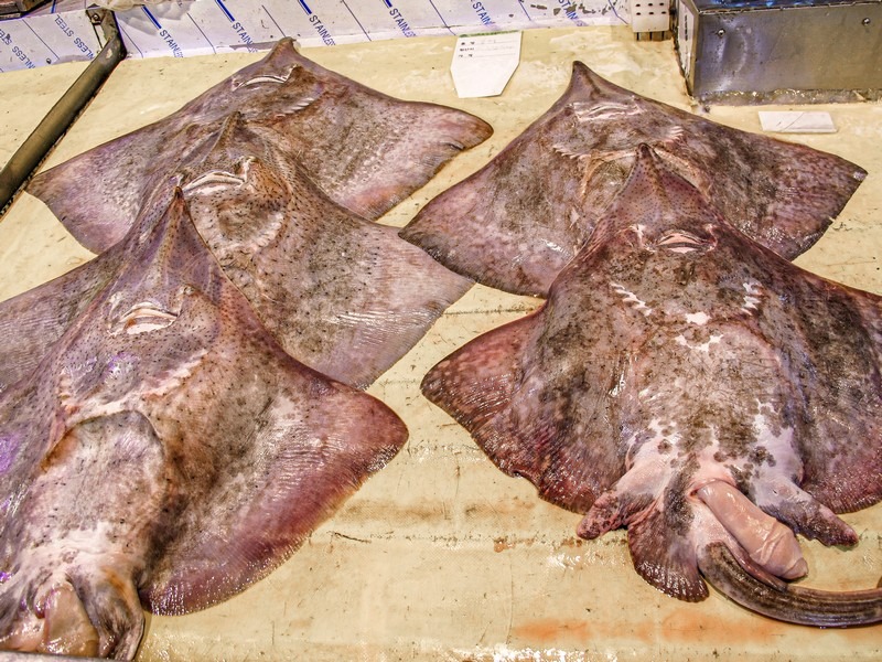 Hongeo, Korean skate, Garak Market (가락시장), Songpa-gu, Seoul, Korea