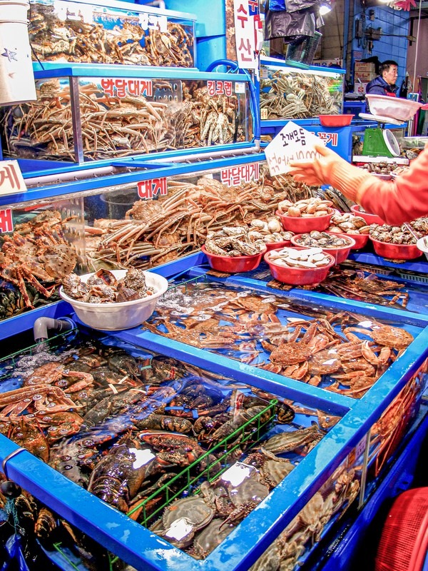 Korean food, Garak Market (가락시장), Songpa-gu, Seoul, Korea