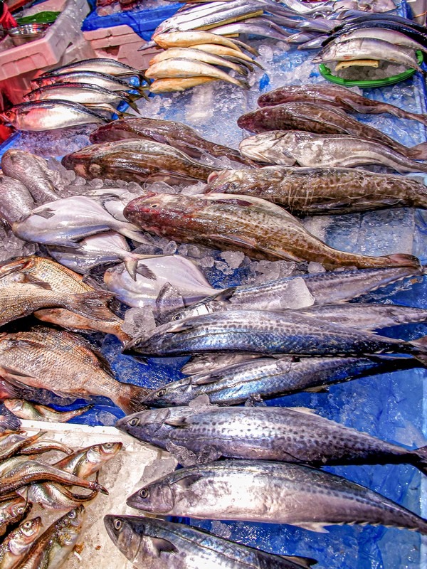 Garak Market (가락시장), Songpa-gu, Seoul, Korea