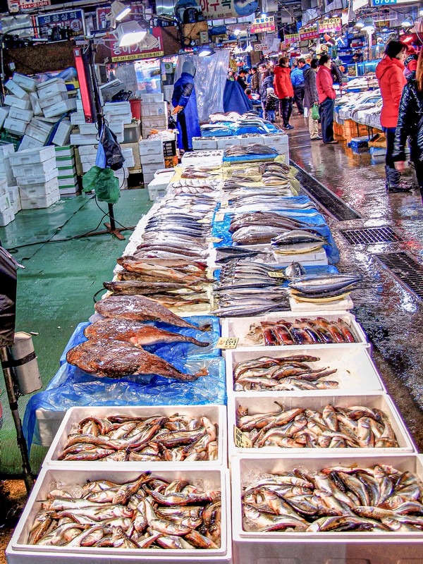 Garak Market (가락시장), Songpa-gu, Seoul, Korea