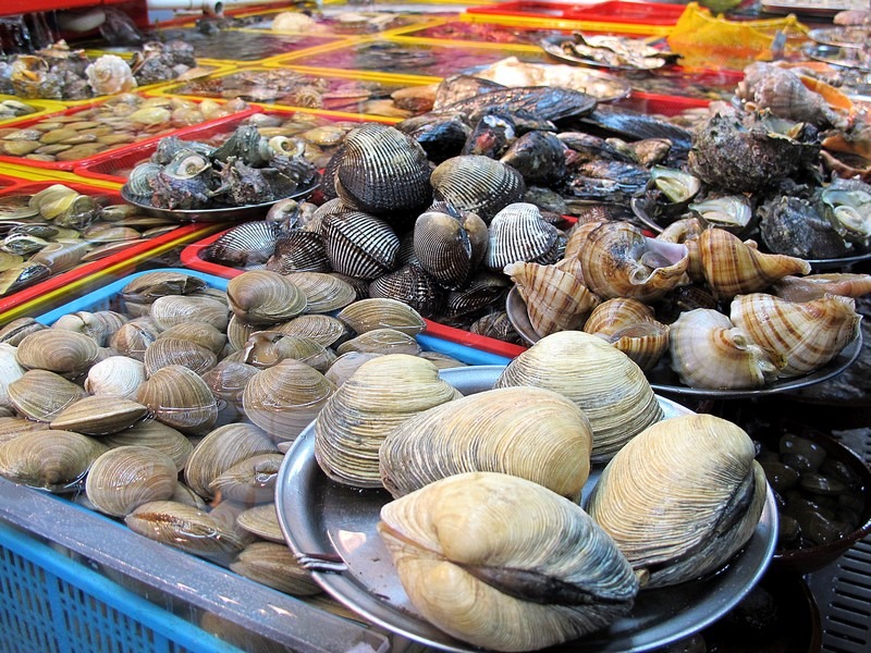 Jagalchi Fish Market, Busan, Korea