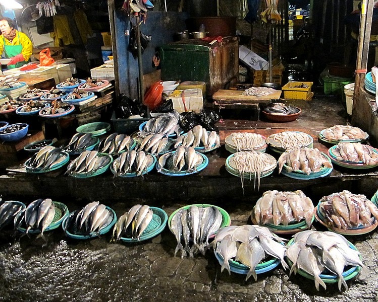 Jagalchi Fish Market, Busan, Korea