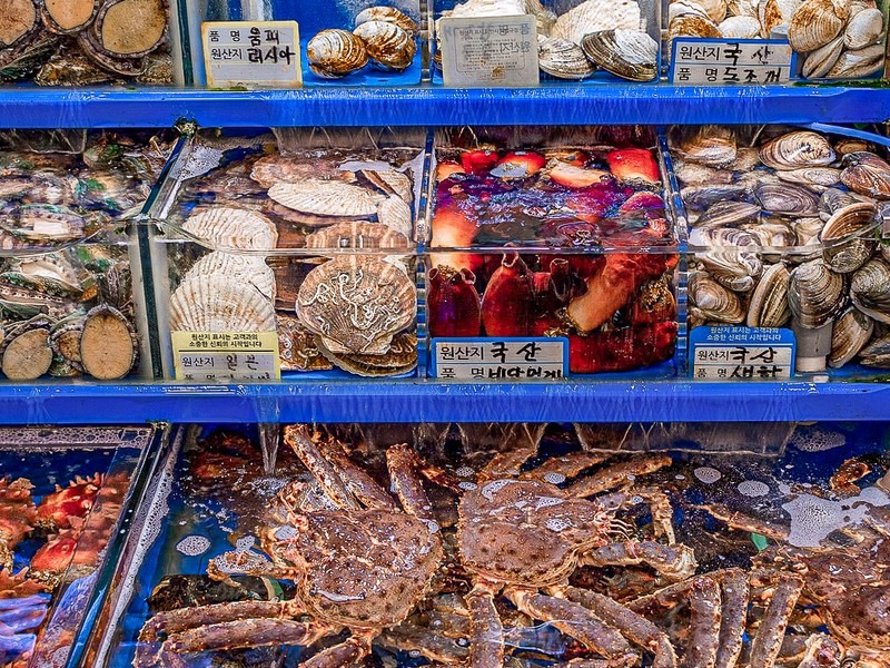 Garak Market (가락시장), Songpa-gu, Seoul, Korea