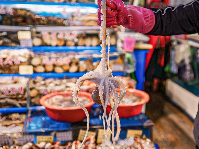 Garak Market (가락시장), Songpa-gu, Seoul, Korea