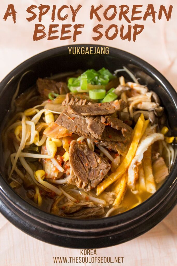 Korean Cooking: How to make Yukgaejang: Yukgaejang is a Korean beef and veggie stew that is a classic for dinner in most Korean households. Follow this easy to understand recipe to make your own.