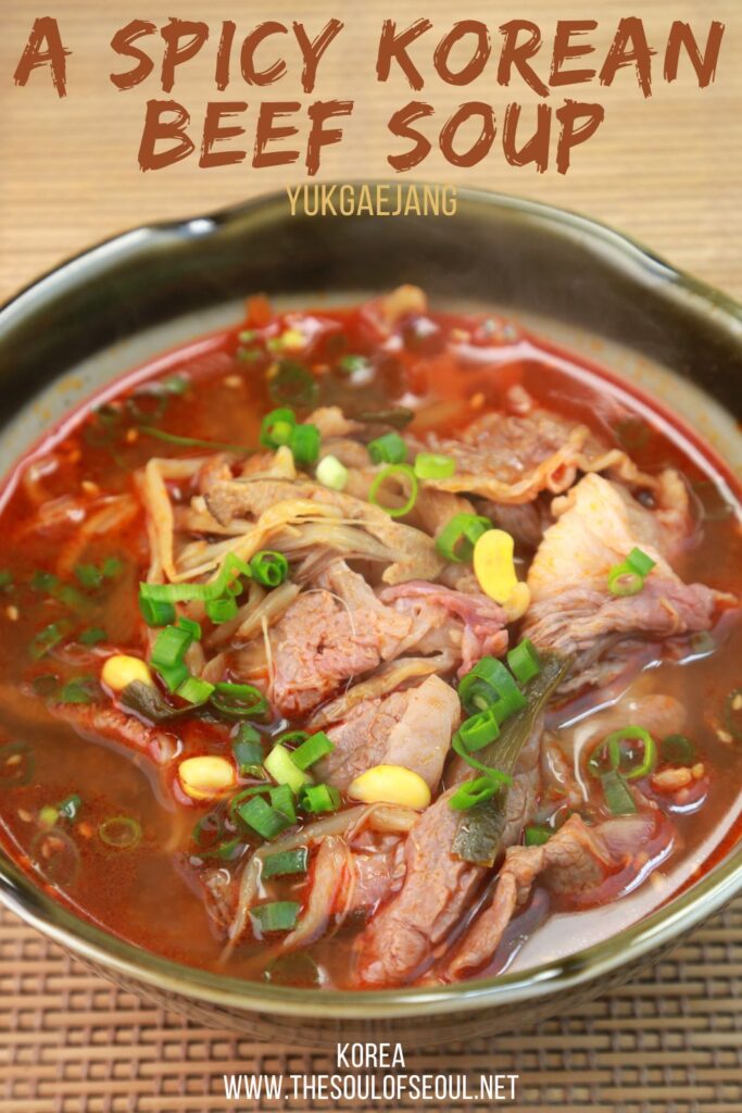 Korean Cooking: How to make Yukgaejang: Yukgaejang is a Korean beef and veggie stew that is a classic for dinner in most Korean households. Follow this easy to understand recipe to make your own.