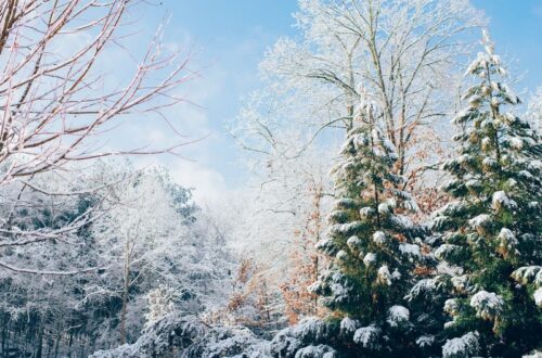 Taebaek Mountain, Taebaek, Korea, snow in Korea, winter in Korea