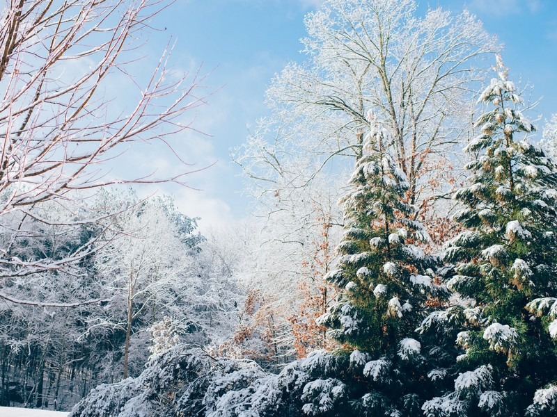 Taebaek Mountain, Taebaek, Korea, snow in Korea, winter in Korea