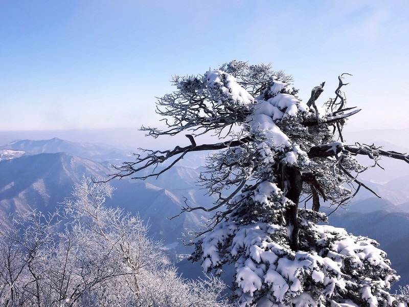 Taebaek Mountain, Taebaek, Korea, snow in Korea, winter in Korea