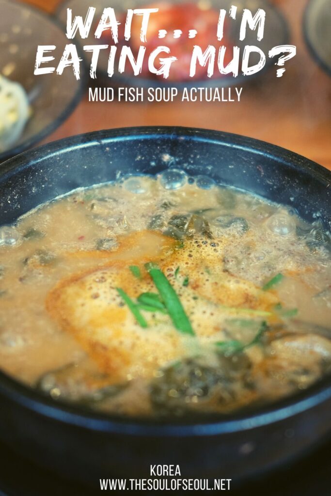 Korean Eating: Wait... I'm eating mud Korean Loach Fish Stew Actually: While it might look like mud and it's called mud fish soup, it's a lot tastier and healthier than you realize. Find out more about Korean loach fish soup.