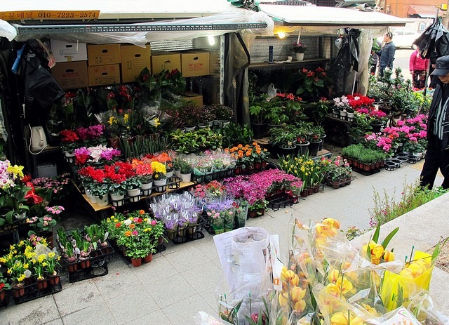 Jongno Flower Market Alley, Seoul, Korea