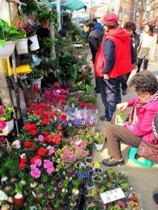 Jongno Flower Market Alley, Seoul, Korea