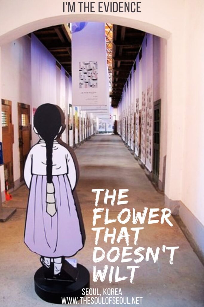 The Flower That Doesn't Wilt: I'm The Evidence: The exhibit is a collection of comics by 14 different artists that depicts different aspects of the lives of the comfort women from the past, the present and into the future and it is powerful. This powerful piece was put into Seodaemun Prison in Seoul, Korea.