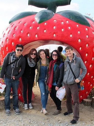 Nonsan, Strawberry Festival, Nonsan, Korea