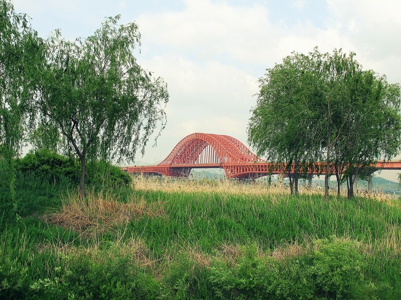 Gangseo Marsh Ecological Park, Han Gang River park, Seoul, Korea