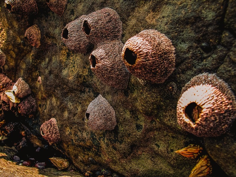 Gapa Island (가파도), Jeju Island, Korea