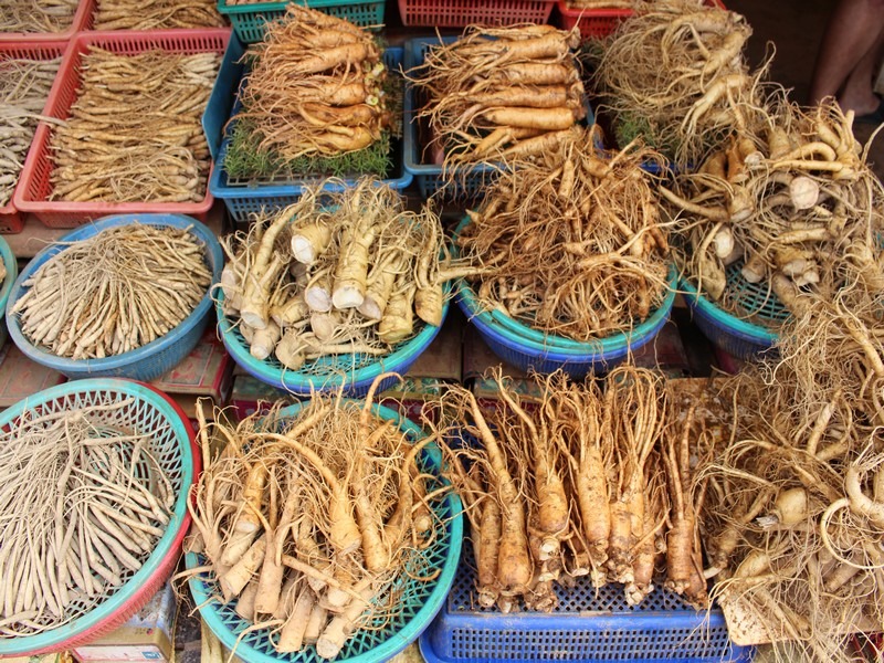 Yangnyeongsi Herbal Medicine Market, Seoul, Korea