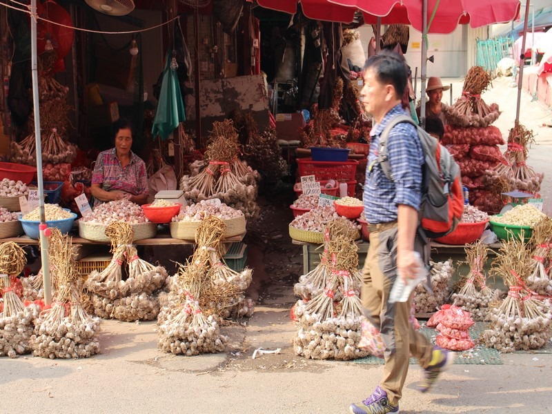 Yangnyeongsi Herbal Medicine Market, Seoul, Korea