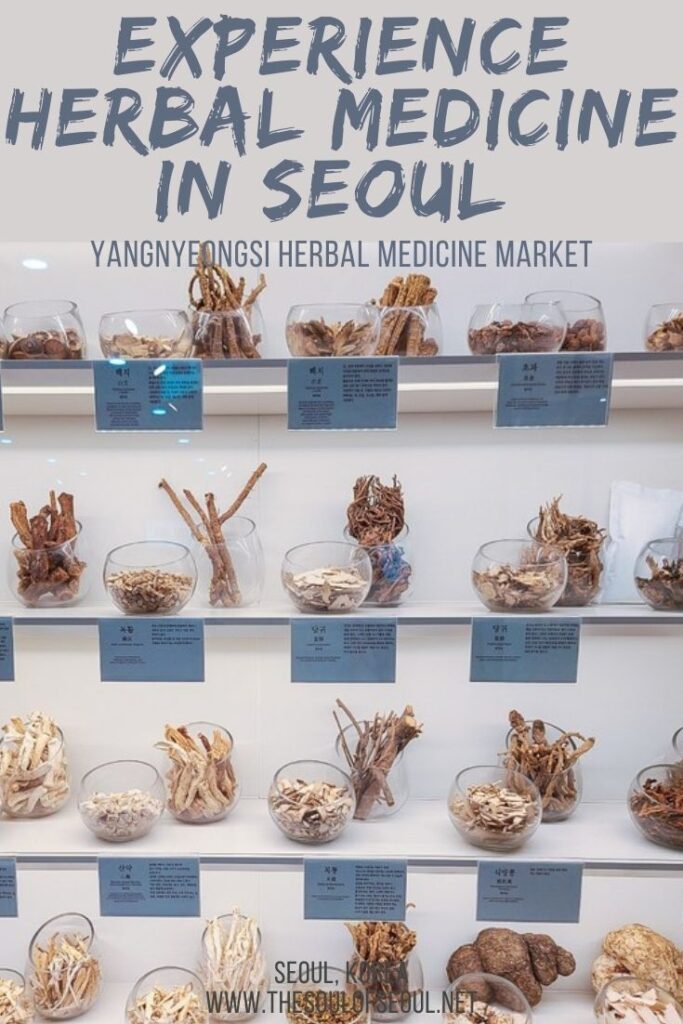 The Yangnyeongsi Herbal Medicine Market: Experience Herbal Medicine In Seoul: The Yangnyeongsi Herbal Medicine Market is the largest herbal medicine market in Seoul, Korea. WIth over 800 businesses, it's a must see!