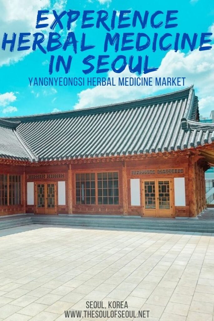 The Yangnyeongsi Herbal Medicine Market: Experience Herbal Medicine In Seoul: The Yangnyeongsi Herbal Medicine Market is the largest herbal medicine market in Seoul, Korea. WIth over 800 businesses, it's a must see!