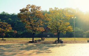 Mapo-gu, Seoul: World Cup Park, Nanjicheon Park