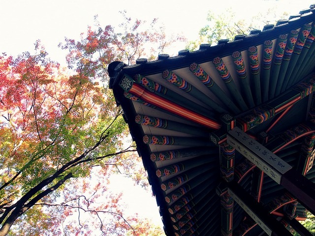 Seoul, Korea: Changdeok Palce The Secret Garden