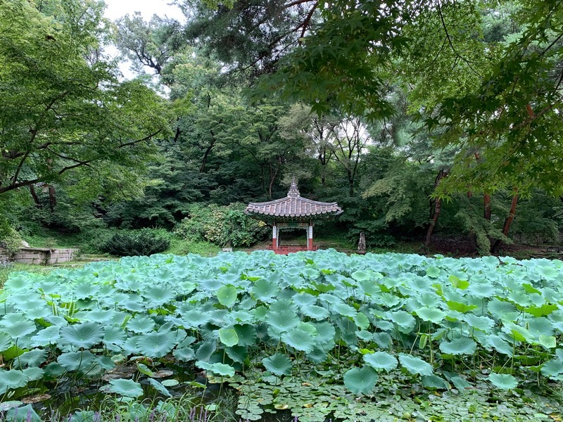 Changdeokgung Palace, Secret Garden, Seoul, Korea