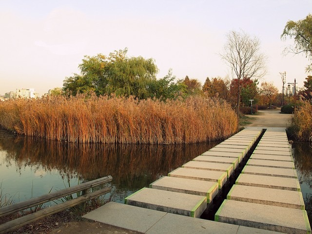 Seoul, Korea: Pyeonghwa Park, Mapo-gu