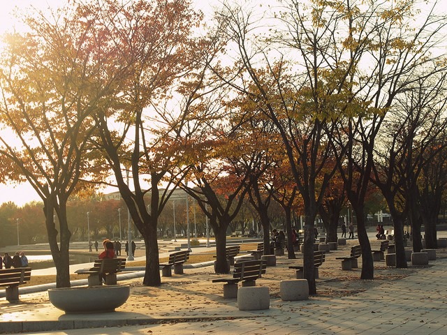 Seoul, Korea: Pyeonghwa Park, Mapo-gu