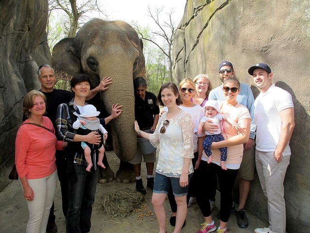 April On The Go: Zoo, elephant