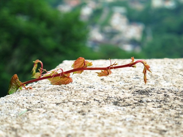 Seoul, Korea: The Seoul Fortress Wall