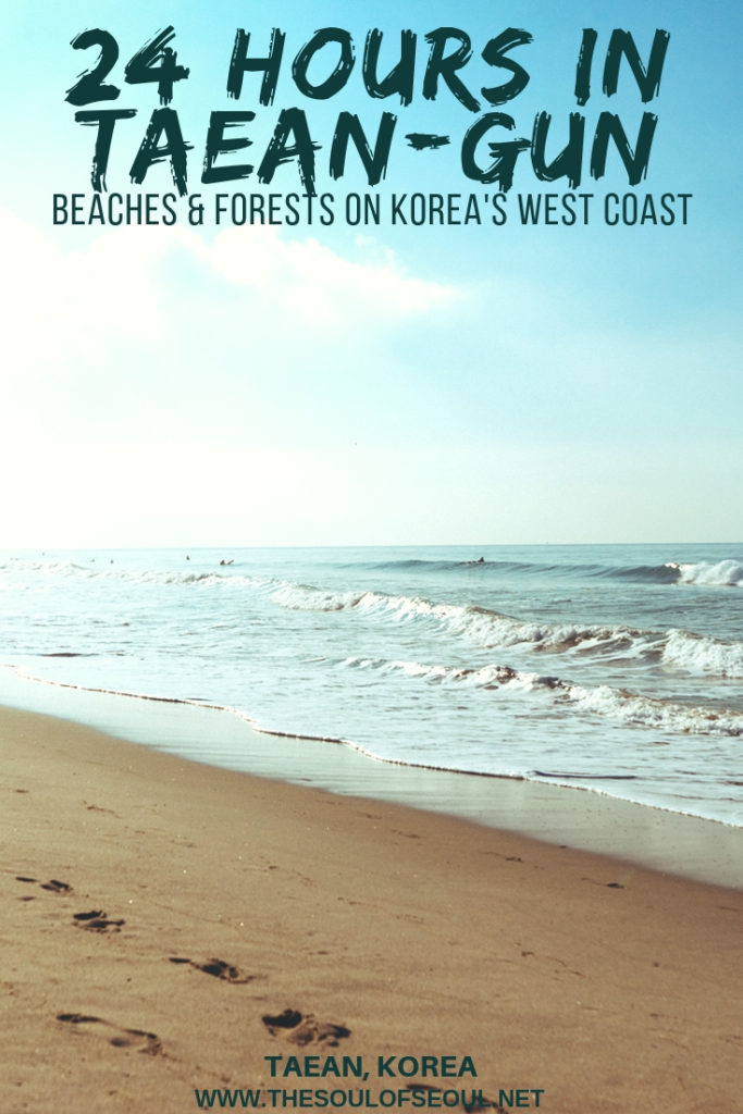 24 Hours in Taean-gun: Beaches & Forests On Korea's West Coast: Go to Taean-gun and enjoy a weekend away from Seoul, Korea. Anmyeondo features beautiful beaches, forests and more to enjoy on the west coast of Korea. Take in the sunsets. Here is where to stay, what to do, and where to go for 24 hours in Taean-gun, Korea.