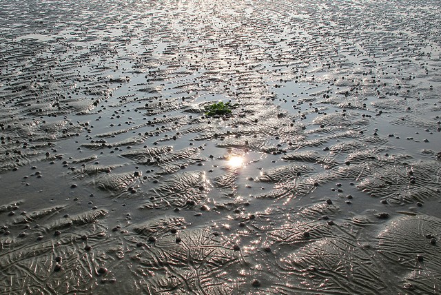 Anmyeondo, Taean-gun: Mongsanpo Beach