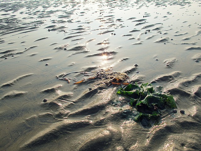 Anmyeondo, Taean-gun: Mongsanpo Beach