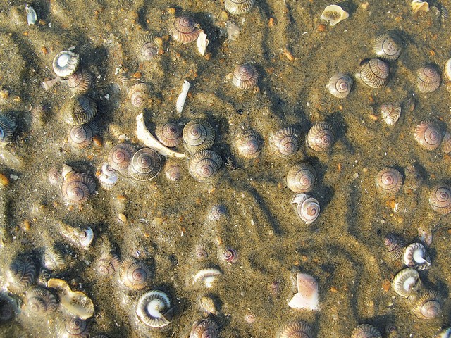 Anmyeondo, Taean-gun: Mongsanpo Beach