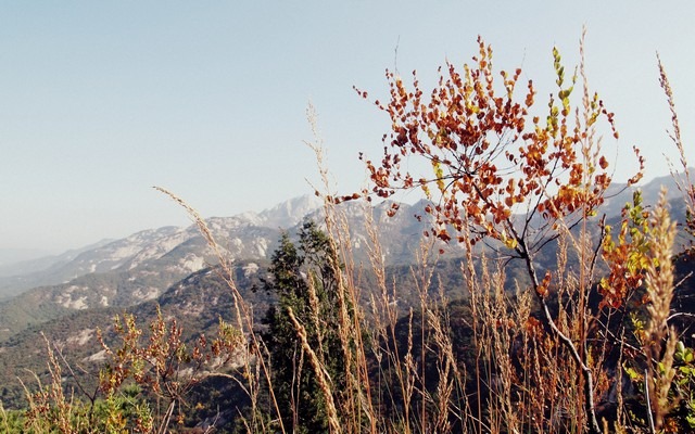 Bukhansan, Seoul: Autumn Hiking