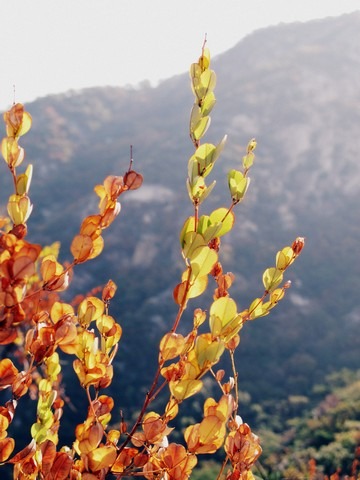 Bukhansan, Seoul