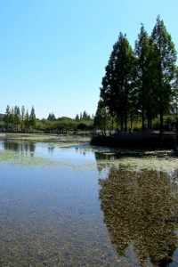 Gimhae, Korea: Yeonji Park