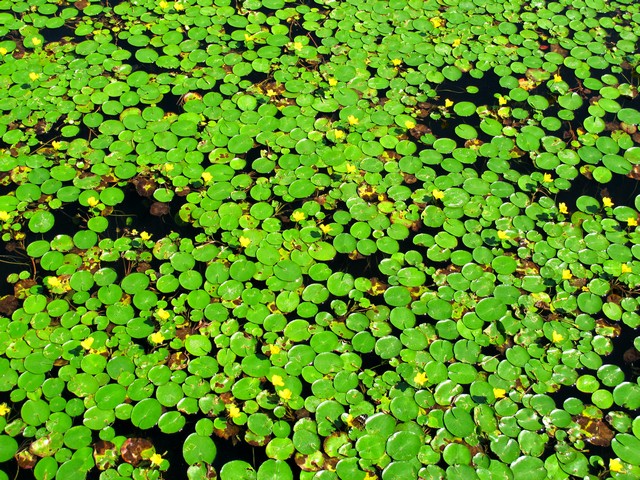 Gimhae, Korea: Yeonji Park