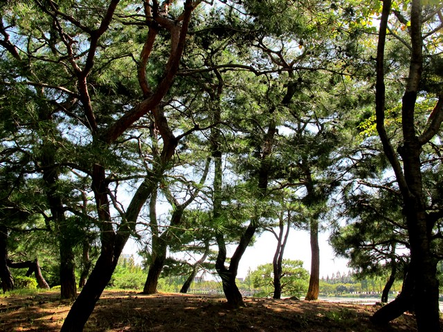 Gimhae, Korea: Yeonji Park