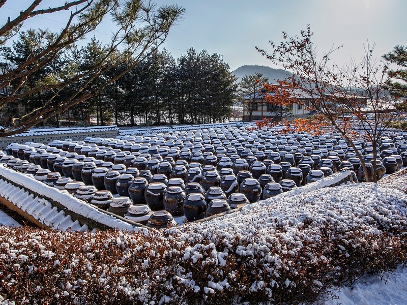 winter in Korea, snow in Korea