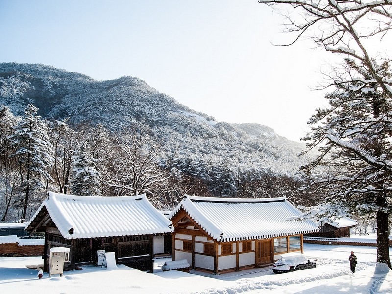 A Guide To Winter In Korea: Snow and Ice and Everything Nice – The